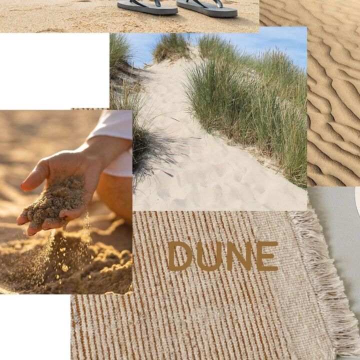 dune.spiaggia.jpg